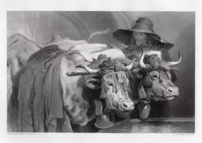 Edwin Landseer, Oxen at the Tank - Geneva, 1876 Steel Engraving on wove paper